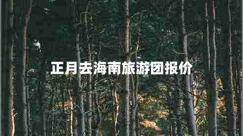 正月去海南旅游團(tuán)報(bào)價