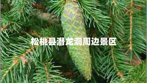 松桃縣潛龍洞周邊景區(qū)