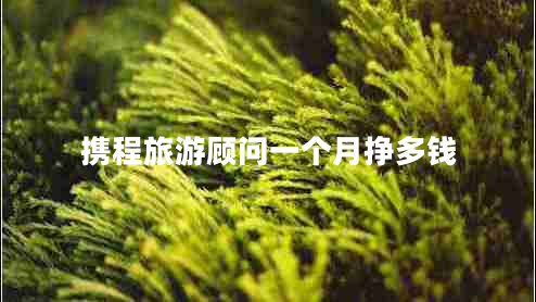 攜程旅游顧問一個月掙多錢