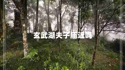 玄武湖夫子廟近嗎