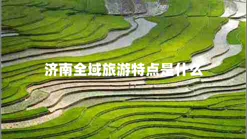 濟(jì)南全域旅游特點(diǎn)是什么