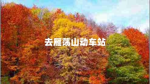 去雁蕩山動(dòng)車站