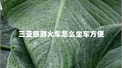 三亞旅游火車怎么坐車方便