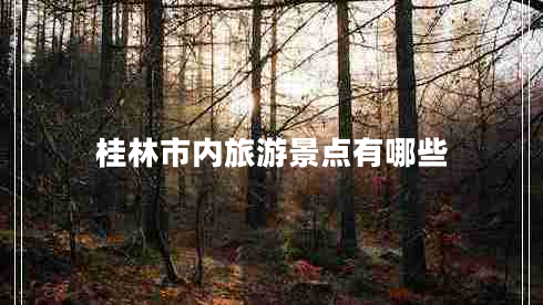 桂林市內(nèi)旅游景點有哪些