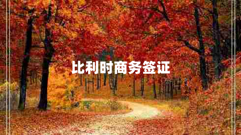 比利時(shí)商務(wù)簽證 比利時(shí)商務(wù)簽證