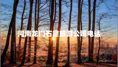 河南龍門石窟旅游公司電話 河南龍門石窟旅游公司電話