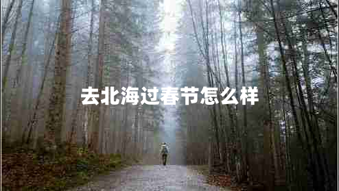 去北海過春節(jié)怎么樣