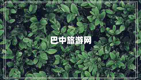 巴中旅游網(wǎng)