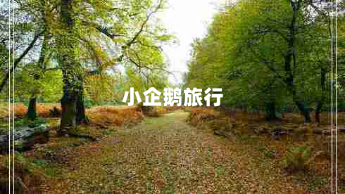 小企鵝旅行