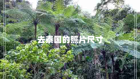 去泰國的照片尺寸 去泰國的照片尺寸