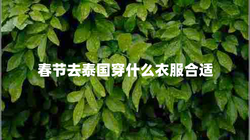 春節(jié)去泰國穿什么衣服合適