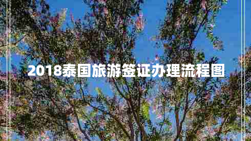 2018泰國(guó)旅游簽證辦理流程圖 2018泰國(guó)旅游簽證辦理流程圖