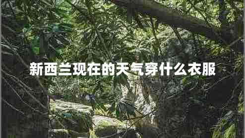 新西蘭現(xiàn)在的天氣穿什么衣服