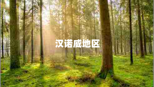 漢諾威地區(qū)