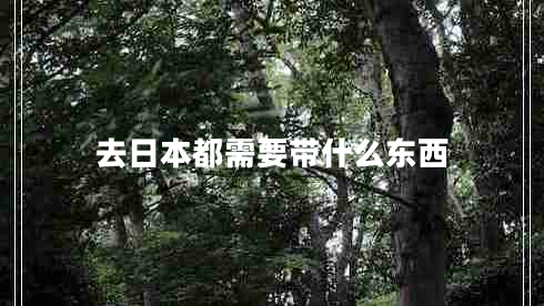 去日本都需要帶什么東西