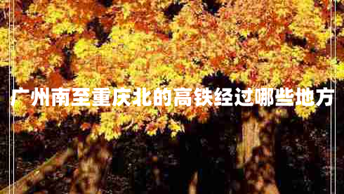 廣州南至重慶北的高鐵經過哪些地方