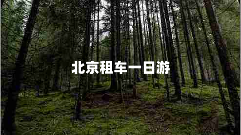 北京租車一日游
