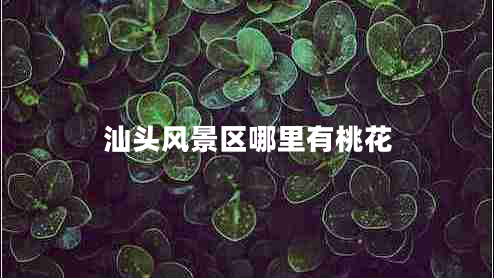 汕頭風(fēng)景區(qū)哪里有桃花