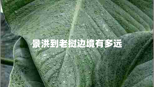 景洪到老撾邊境有多遠