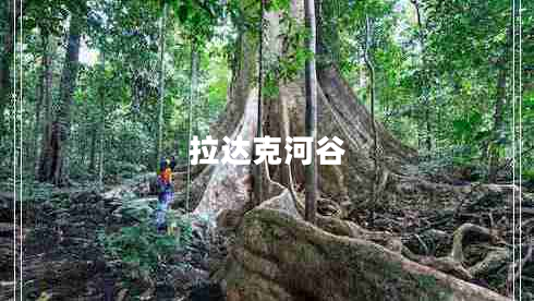 拉達克河谷 拉達克河谷