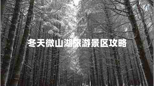 冬天微山湖旅游景區(qū)攻略