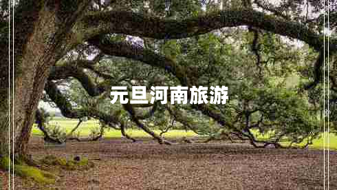 元旦河南旅游 元旦河南旅游