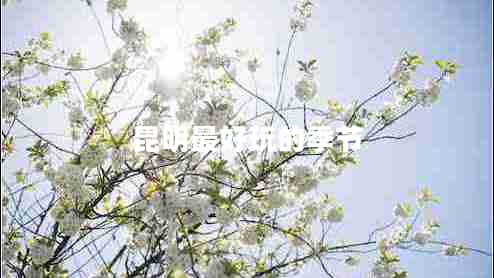 昆明最好玩的季節(jié)