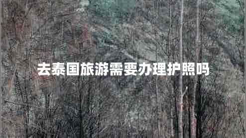 去泰國旅游需要辦理護照嗎