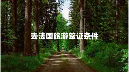 去法國旅游簽證條件