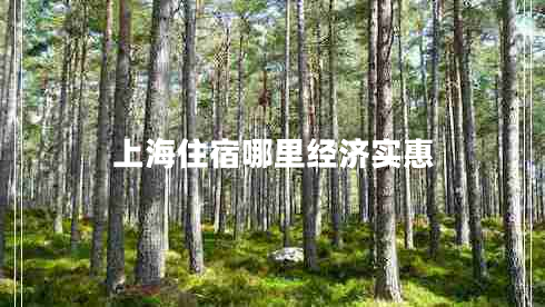 上海住宿哪里經(jīng)濟實惠