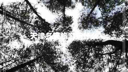 天津冬天旅游玩什么 天津冬天旅游玩什么