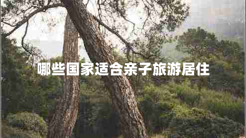 哪些國(guó)家適合親子旅游居住
