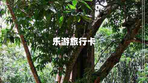 樂游旅行卡