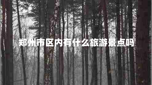 鄭州市區(qū)內(nèi)有什么旅游景點嗎