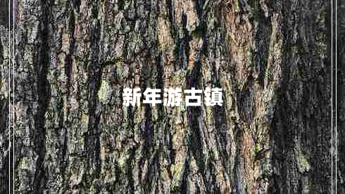 新年游古鎮(zhèn)