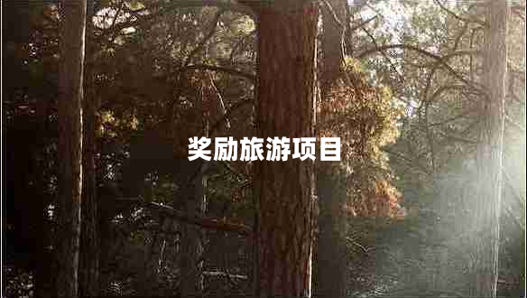 獎(jiǎng)勵(lì)旅游項(xiàng)目