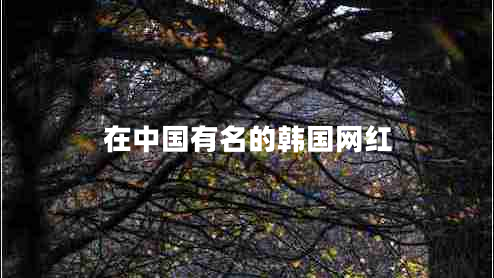 在中國有名的韓國網(wǎng)紅