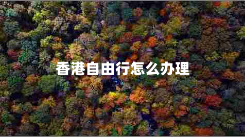 香港自由行怎么辦理