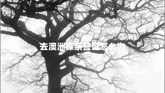 去澳洲探親簽證怎么辦 去澳洲探親簽證怎么辦