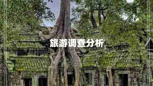 旅游調(diào)查分析 旅游調(diào)查分析