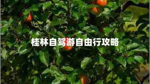 桂林自駕游自由行攻略