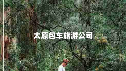 太原包車旅游公司
