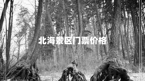 北海景區(qū)門票價(jià)格