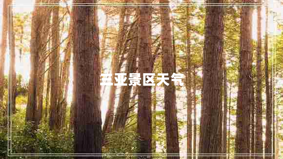 三亞景區(qū)天氣