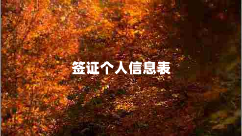 簽證個(gè)人信息表 簽證個(gè)人信息表