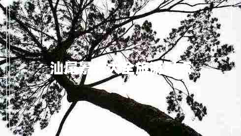 汕尾景點大全旅游景點