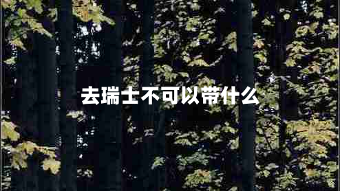 去瑞士不可以帶什么