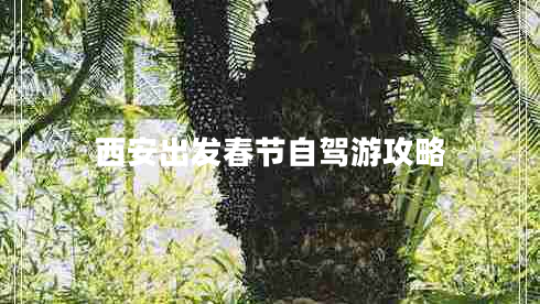 西安出發(fā)春節(jié)自駕游攻略 西安出發(fā)春節(jié)自駕游攻略