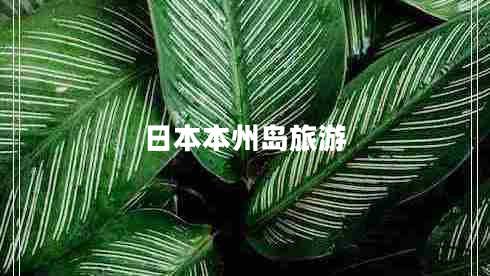 日本本州島旅游