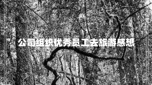 公司組織優(yōu)秀員工去旅游感想
